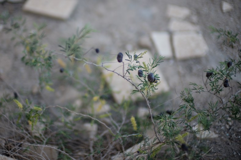 180415_Meem_AbandonedHospital_0032