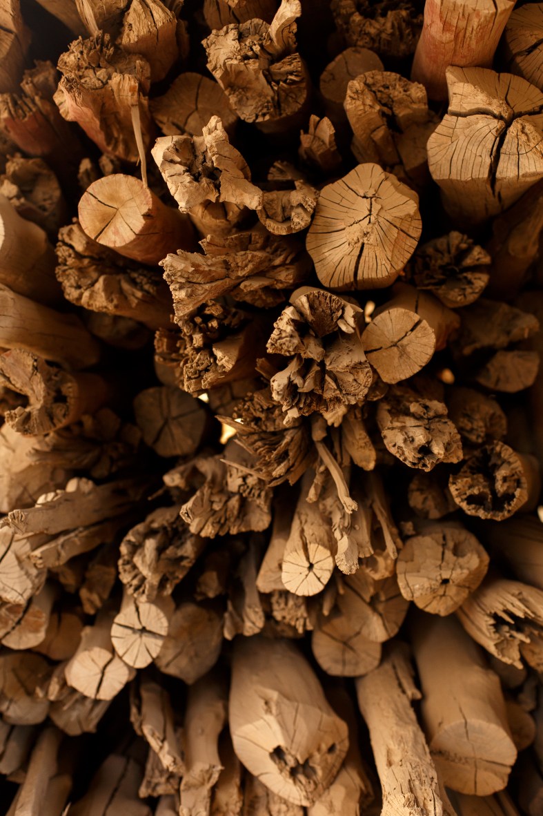 Meem-Alessa-Shoot5-030