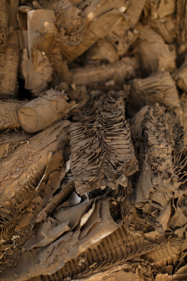 Meem-Alessa-Shoot5-057