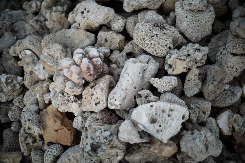 181225_Meem_SheikhAbdullahAljaberPalace_0020-2