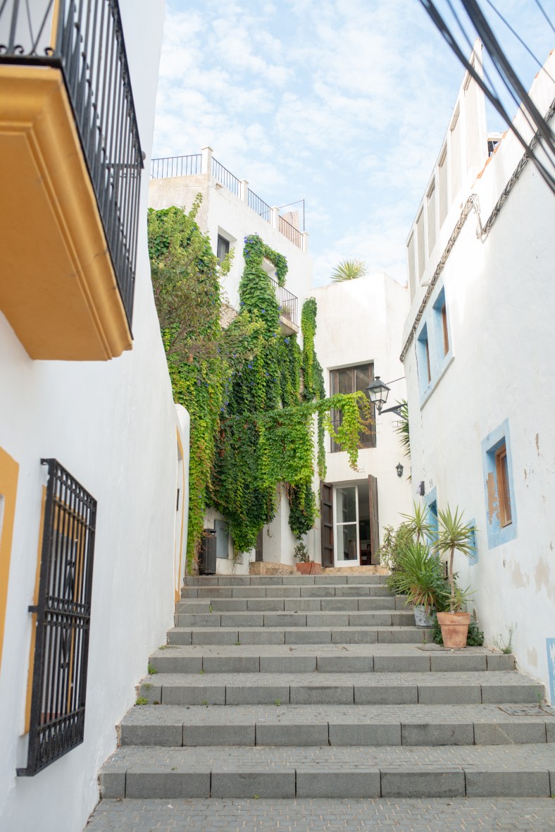 Photo 8-30-19, 10 20 57 AM